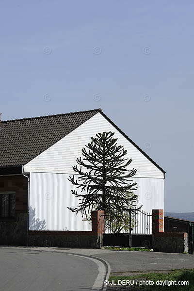 banlieue de Liège